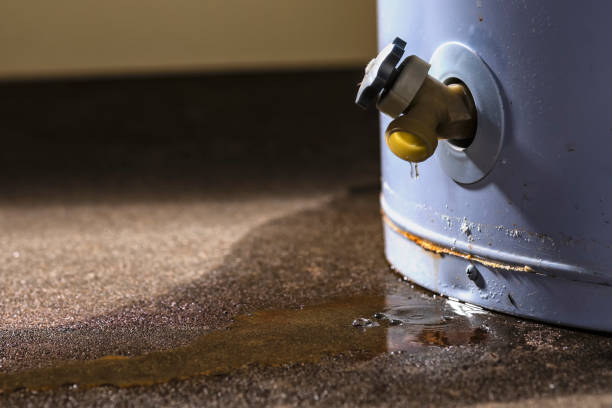 Best Commercial water damage restoration  in Laguna Heights, TX