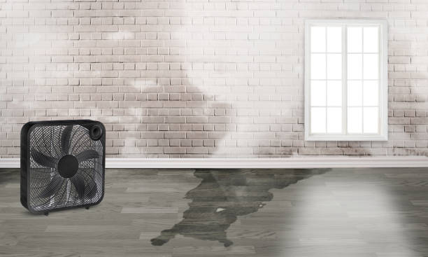 Best Water damage restoration cost  in Laguna Heights, TX