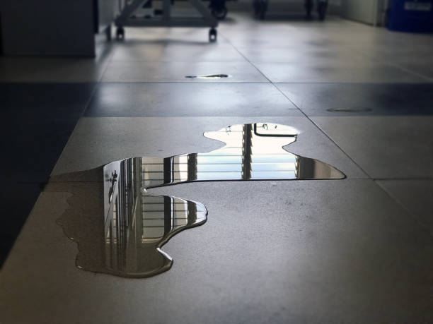 Best Professional water damage repair  in Laguna Heights, TX